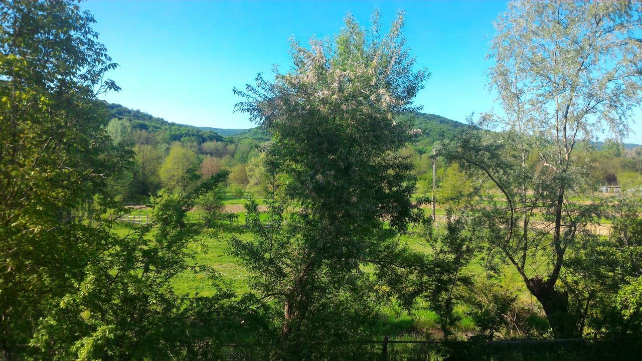 Pensiunea Casa Ghica Valea Salciilor Екстер'єр фото